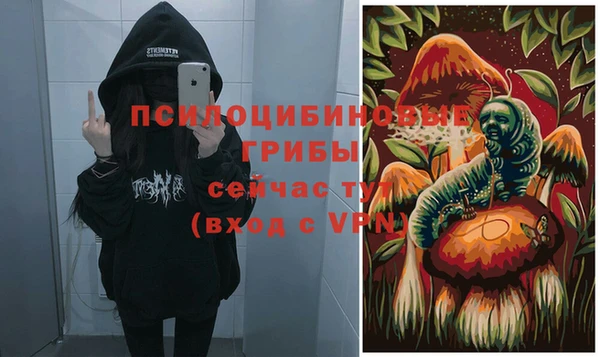 a pvp Киренск