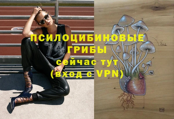 эйфоретик Киреевск