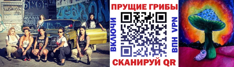 Купить  Казань  Галлюциногенные грибы MAGIC MUSHROOMS 